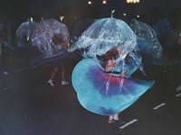 slide-14